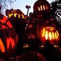 10 Photos That Will Make Wish You Were at RWP Zoo’s Jack-O-Lantern Spectacular